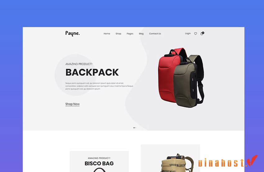 landing page la gi