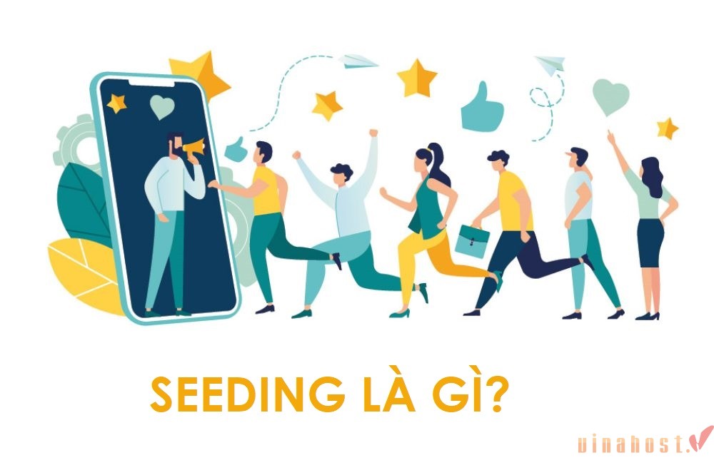 Seeding là gì?