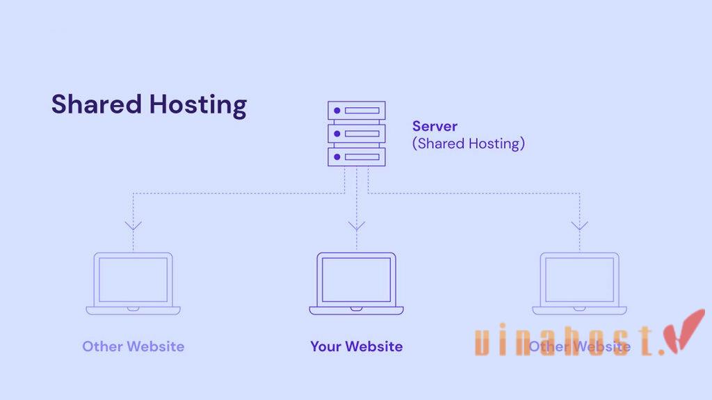 Shared Hosting là gì