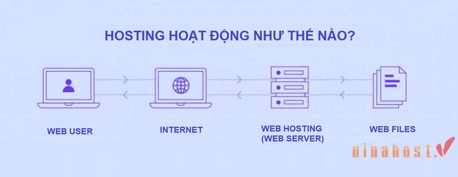 Hosting là gì