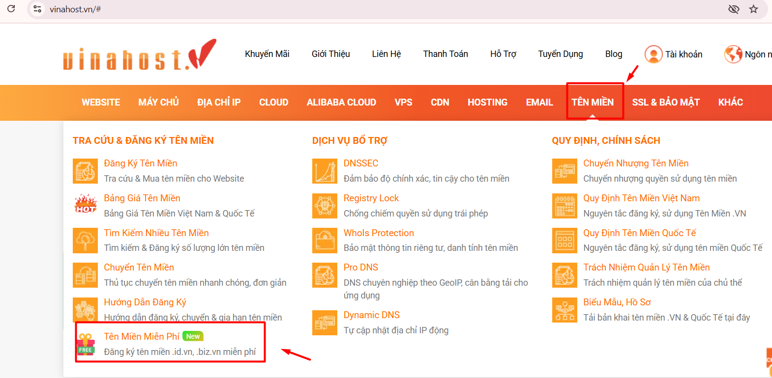 huong dan dang ky ten mien .biz.vn mien phi