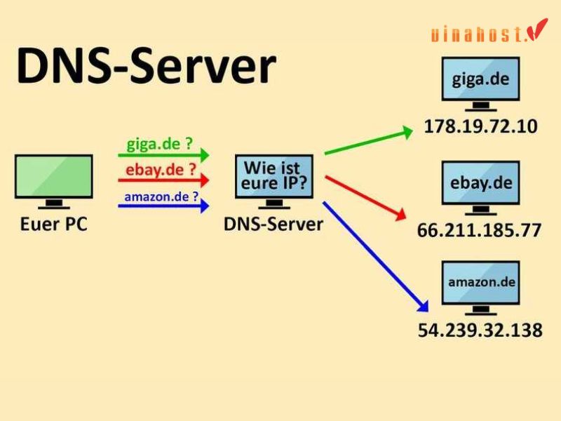 dns la gi