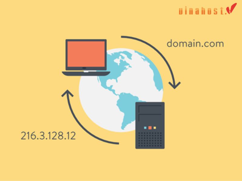 dns la gi