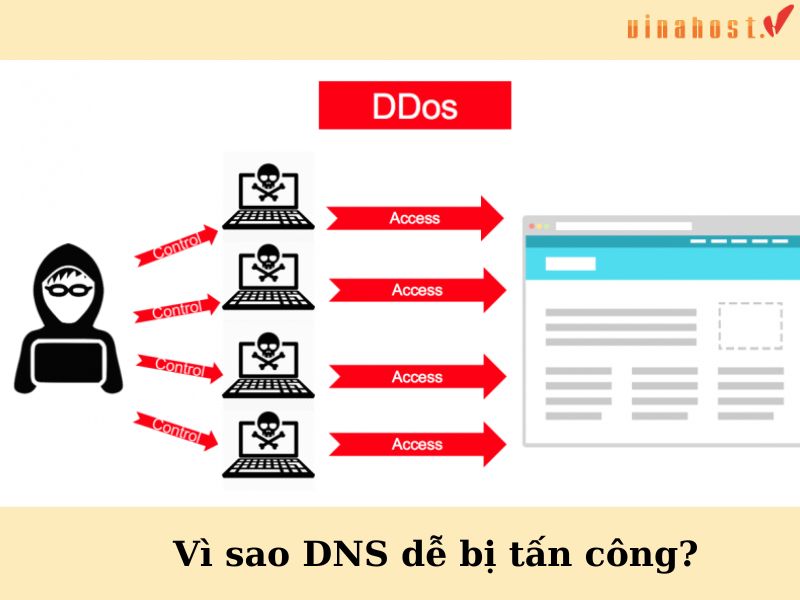 dns la gi