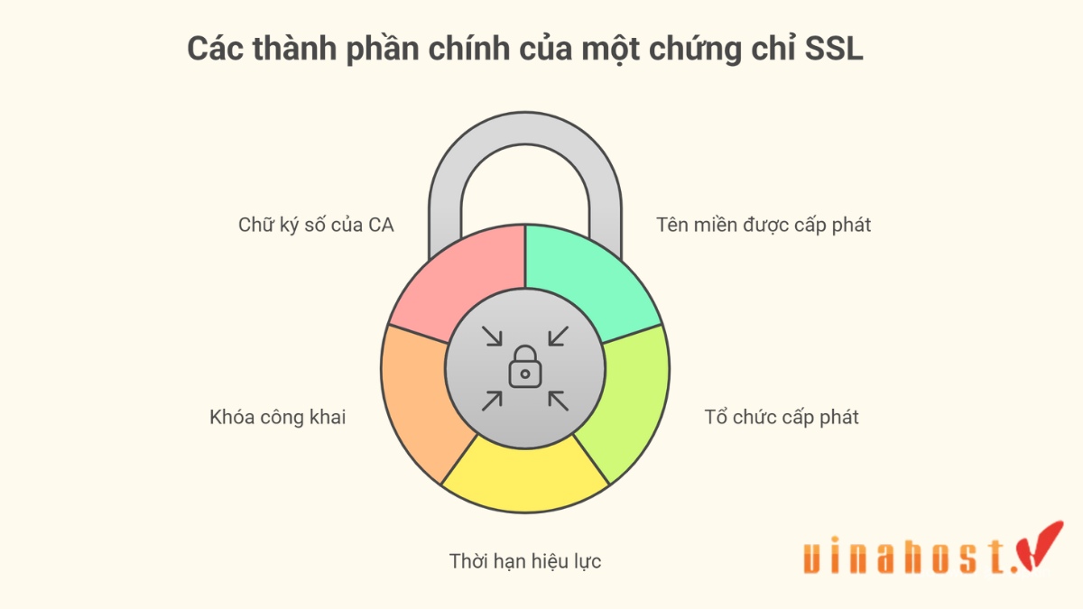 5 Thành phần chính của một chứng chỉ SSL: Tên miền được cấp phát, Tổ chức cấp phát, Thời hạn hiệu lực, Khóa công khai và Chữ ký số của CA.