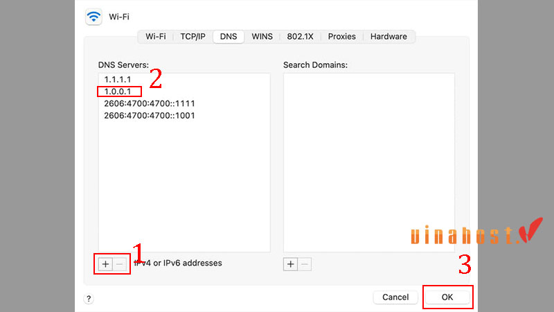 dns la gi