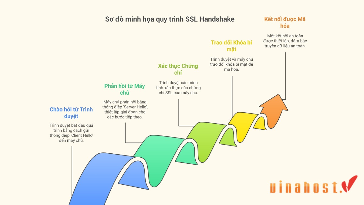 Quy trình 5 bước của SSL Handshake: Chào hỏi, Phản hồi, Xác thực chứng chỉ, Trao đổi khóa và Kết nối mã hóa.