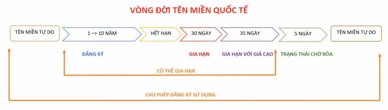 vong doi ten mien quoc te