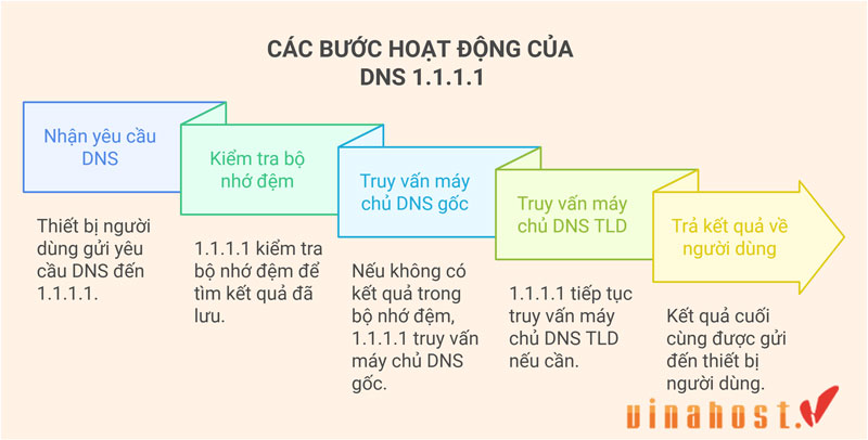 1.1.1.1 la gi