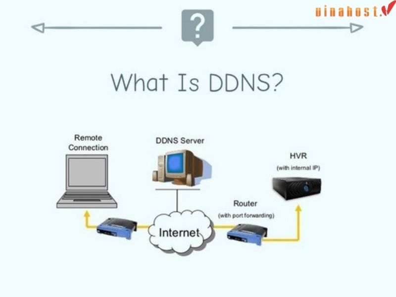 ddns la gi