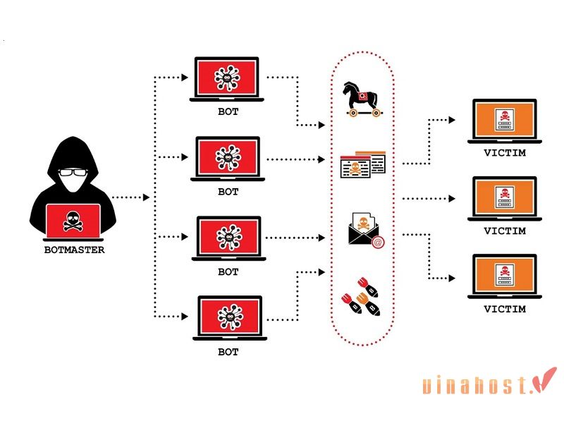 dhcp la gi