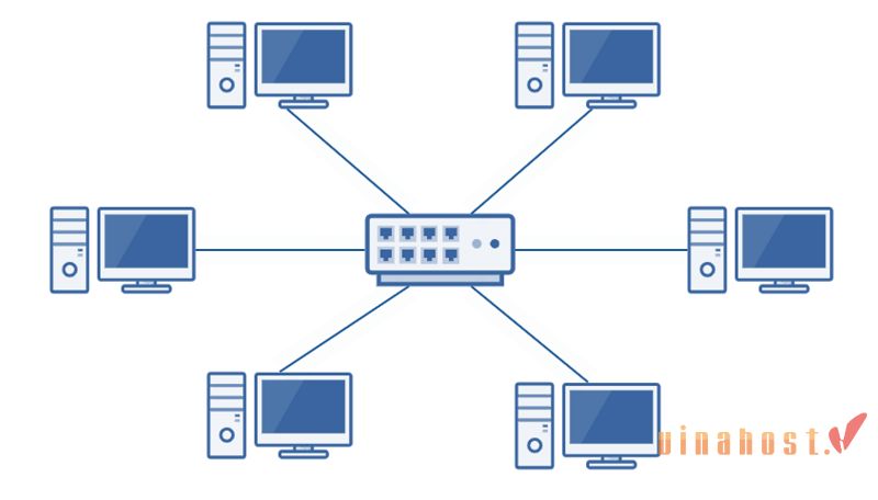 Network là gì