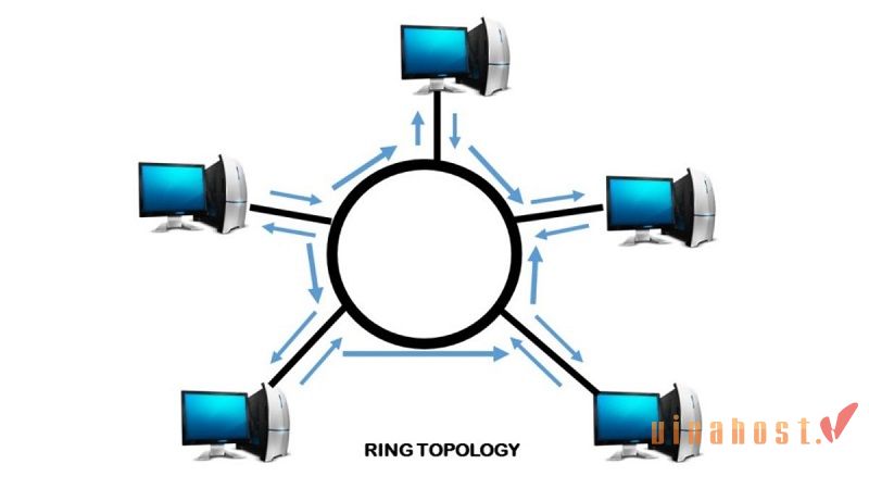 Network là gì