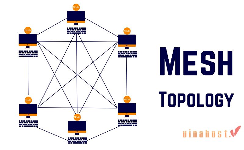 Network là gì