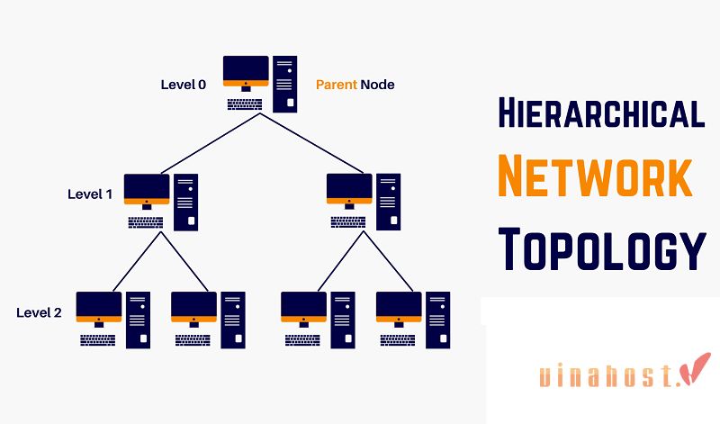 Network là gì