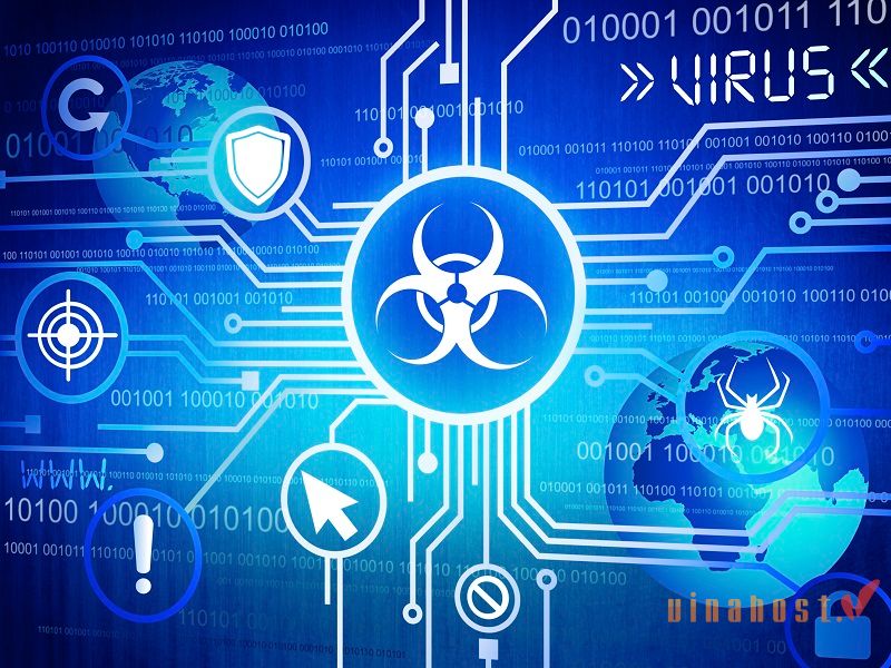 Network là gì