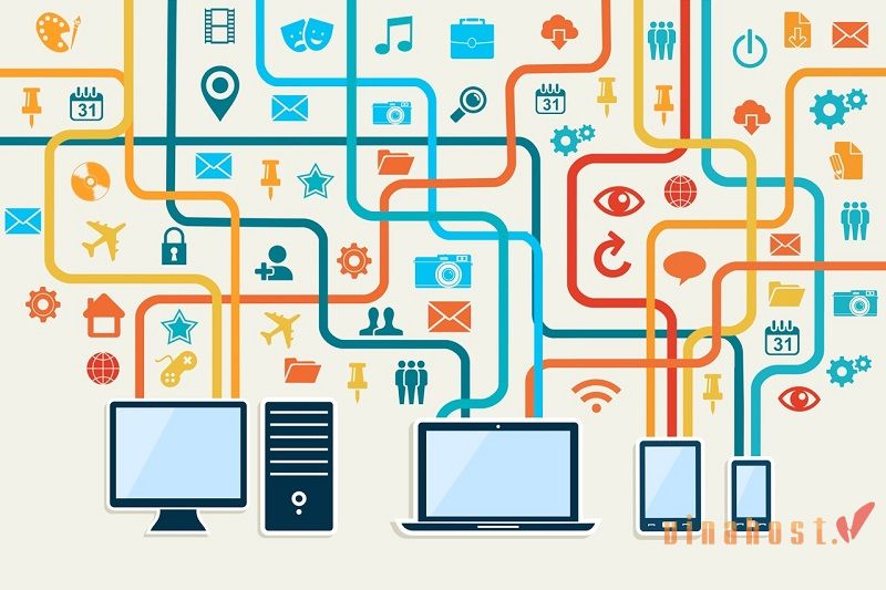 Network là gì