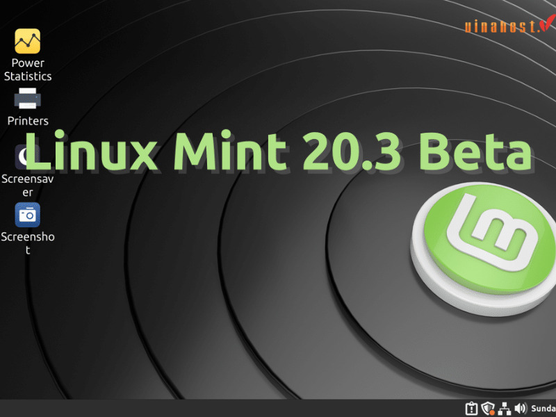 [2023] Linux là gì | Tổng hợp kiến thức [A-Z] hệ điều hành Linux 
