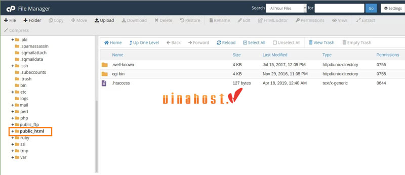 cach lay source code website 11 1 - #1 Hosting Giá Rẻ, VPS Giá Rẻ, Máy Chủ Vật Lý, Email, Cloud Server Lấy source code trực tiếp từ Hosting (cPanel)