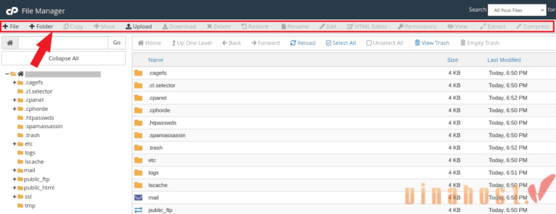 cpanel la gi