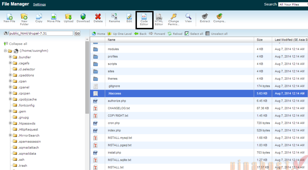 cpanel la gi