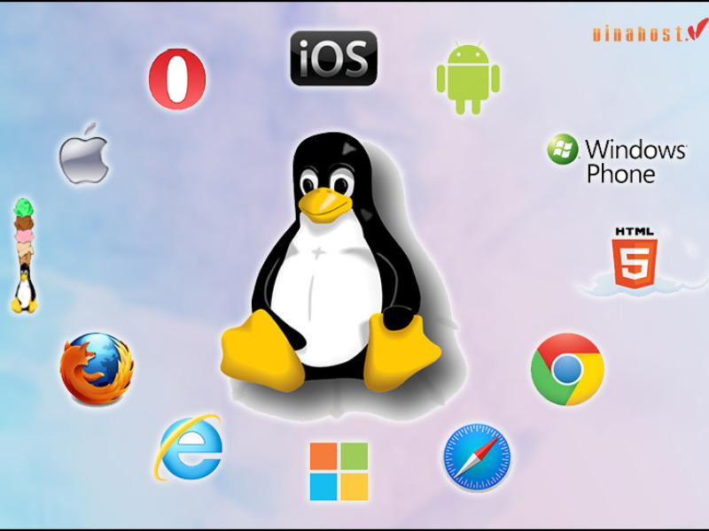 [2023] Linux là gì | Tổng hợp kiến thức [A-Z] hệ điều hành Linux 