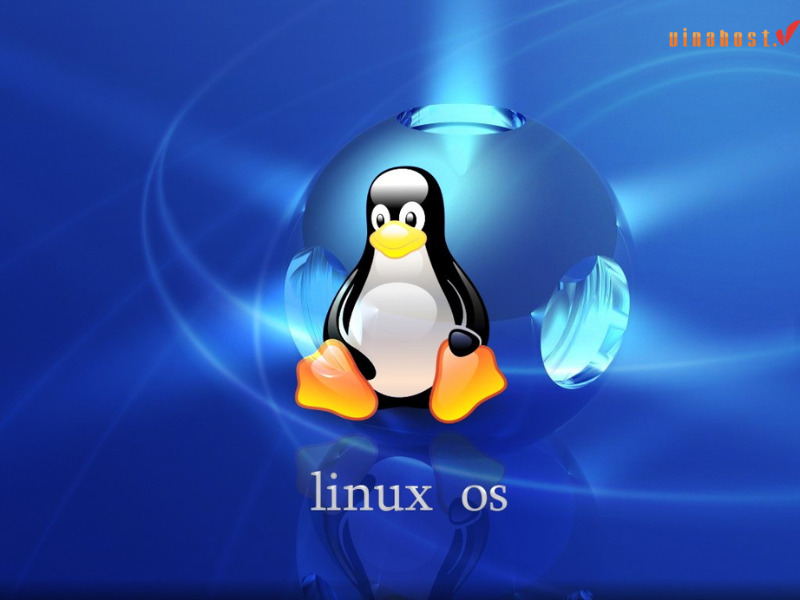 [2023] Linux là gì | Tổng hợp kiến thức [A-Z] hệ điều hành Linux 