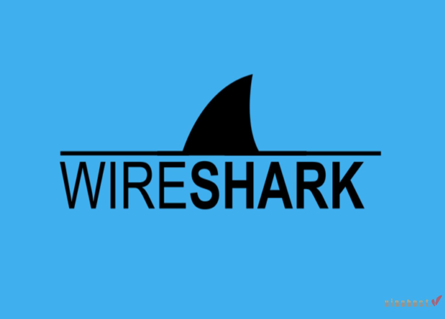 Wireshark là gì?