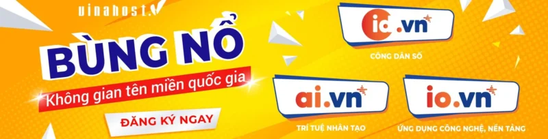 ten mien .io.vn la gi