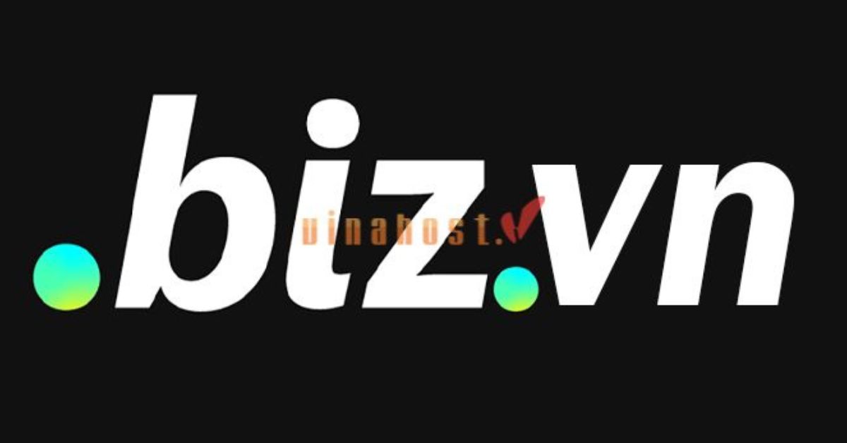 ten mien biz.vn la gi