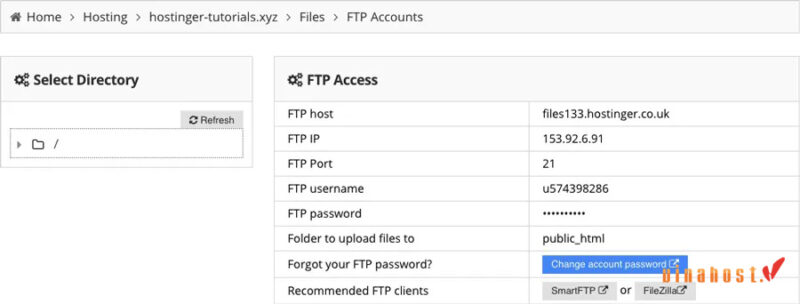 cach upload website lên hosting