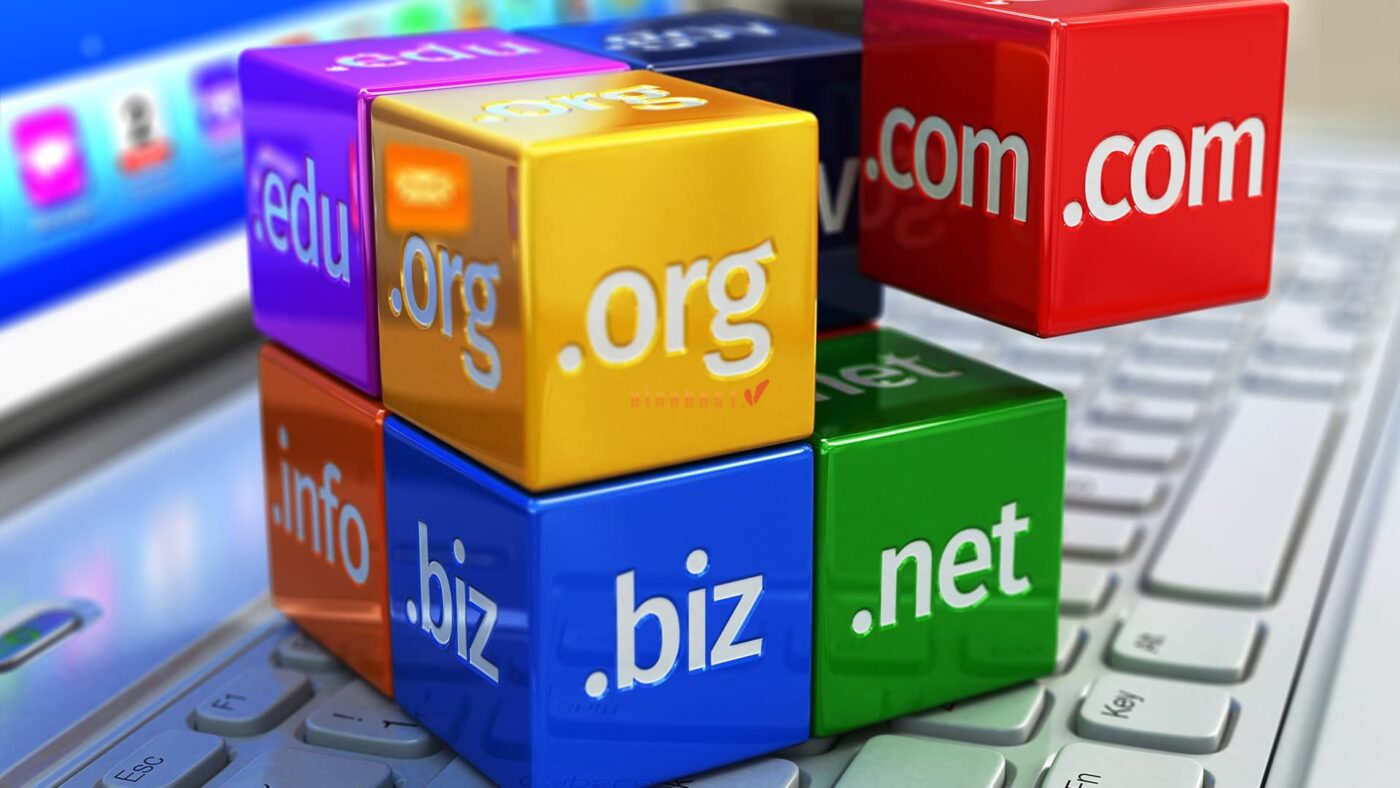 ten mien biz.vn la gi