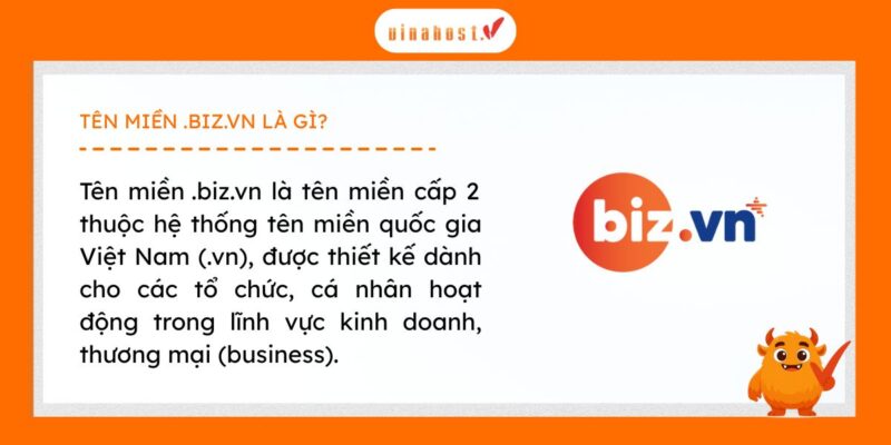 ten mien .biz.vn la gi