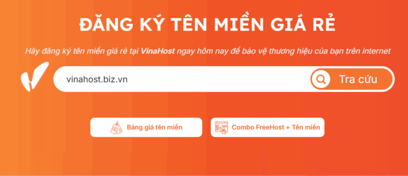 dang ky ten mien .biz.vn