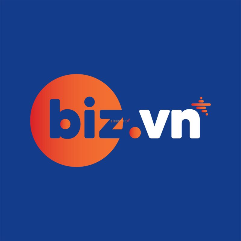 tên mien biz.vn la gi
