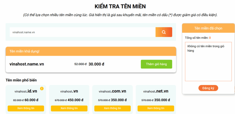 ten mien .vn la gi
