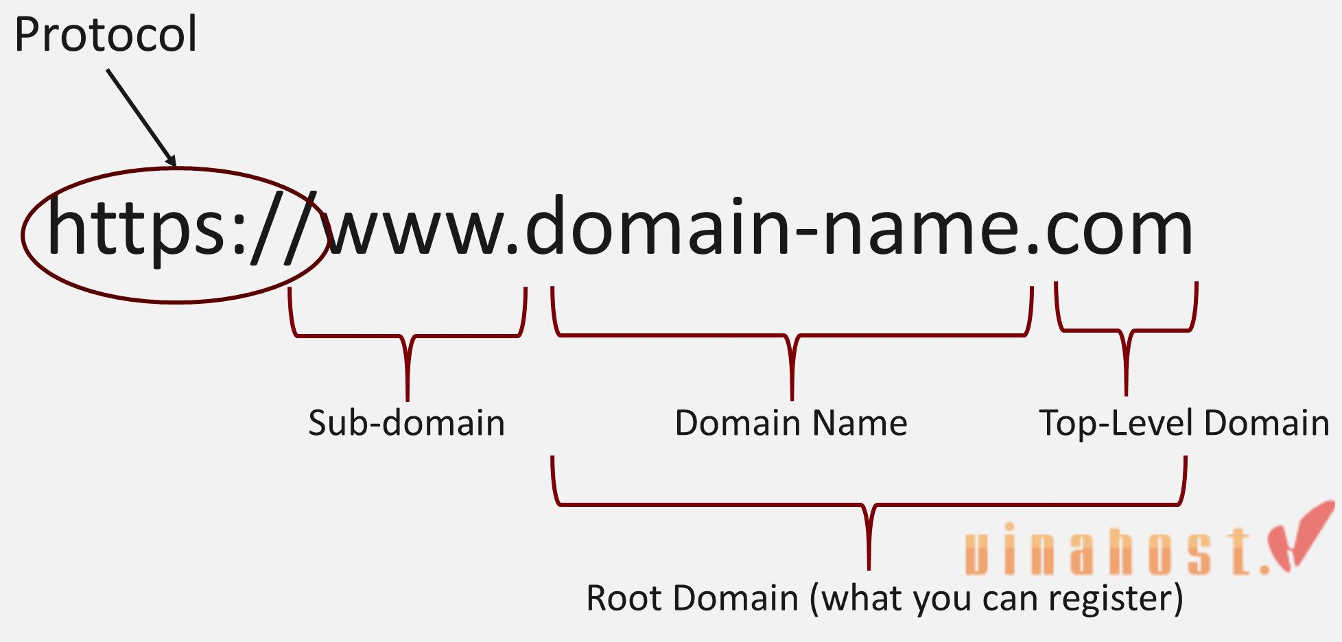 What is Domain