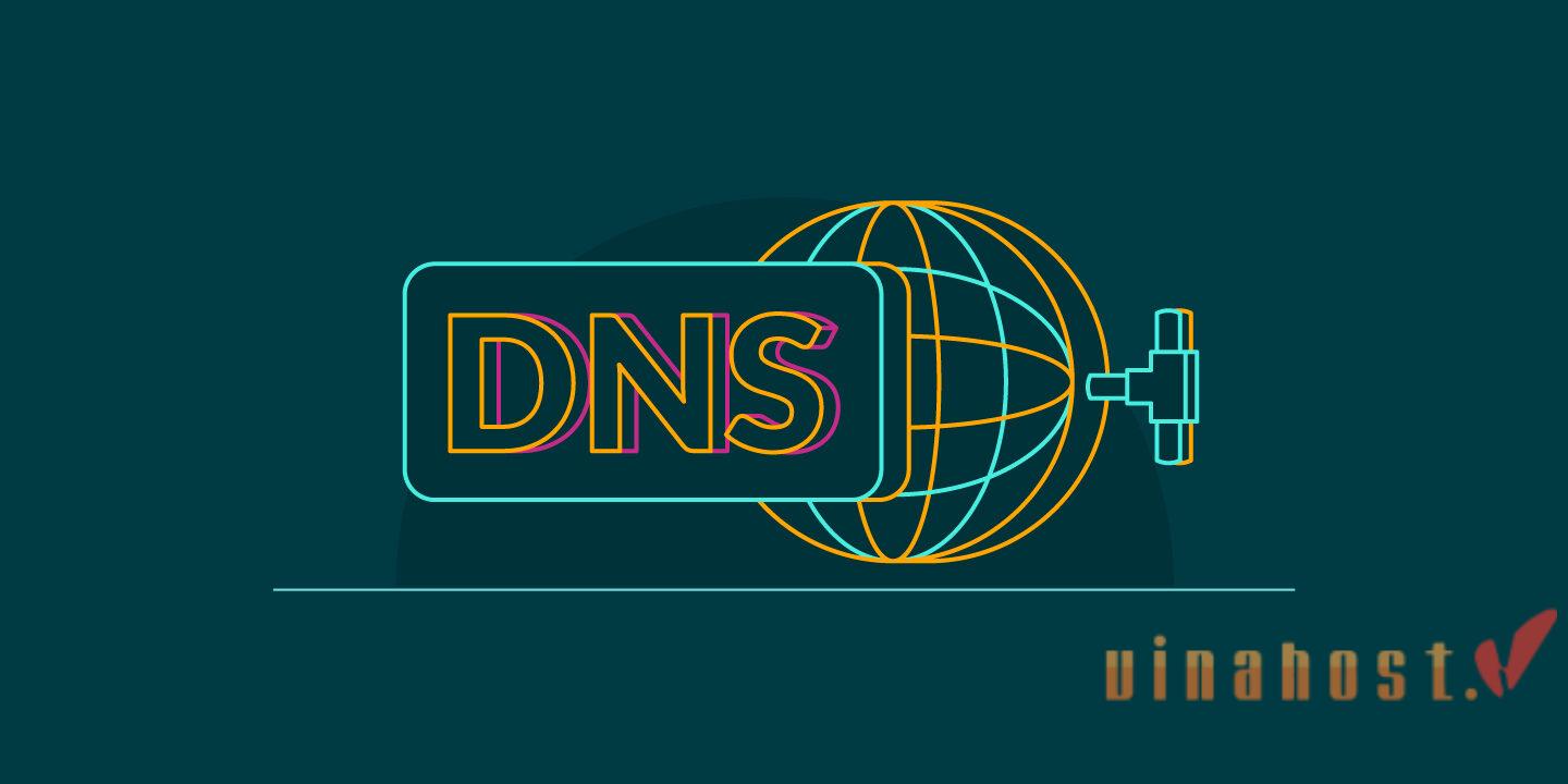 What is Domain