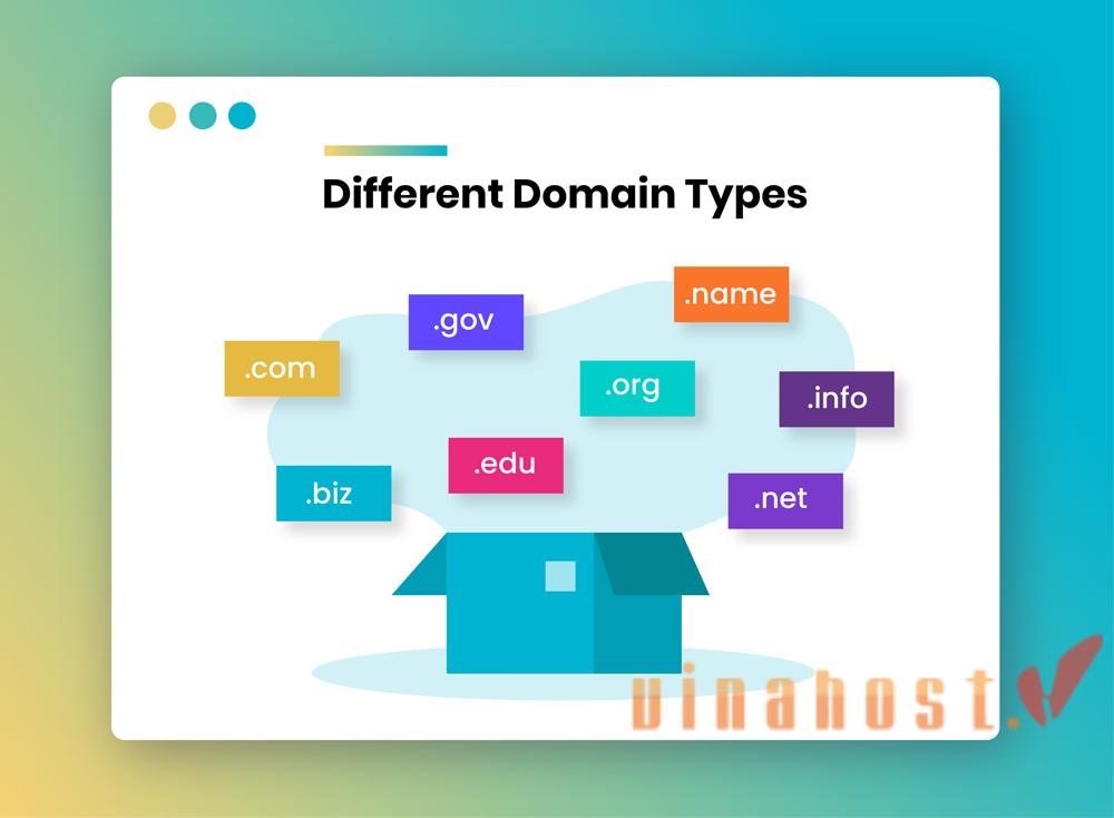 What is Domain
