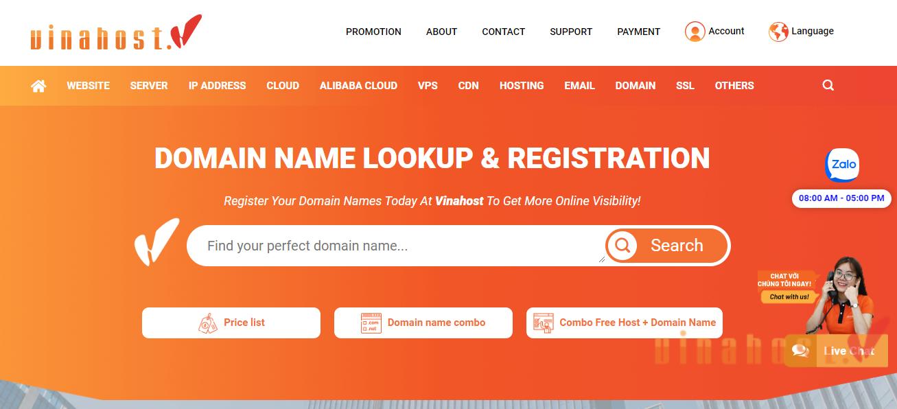 What is Domain