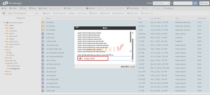 cach upload website len hosting 16 - #1 Hosting Giá Rẻ, VPS Giá Rẻ, Máy Chủ Vật Lý, Email, Cloud Server cach upload website len hosting