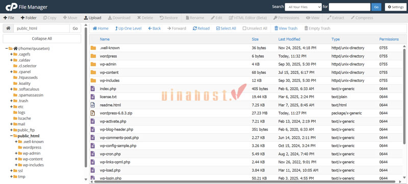 cach upload website len hosting 8 - #1 Hosting Giá Rẻ, VPS Giá Rẻ, Máy Chủ Vật Lý, Email, Cloud Server cach upload website len hosting bang File Manager qua cPanel