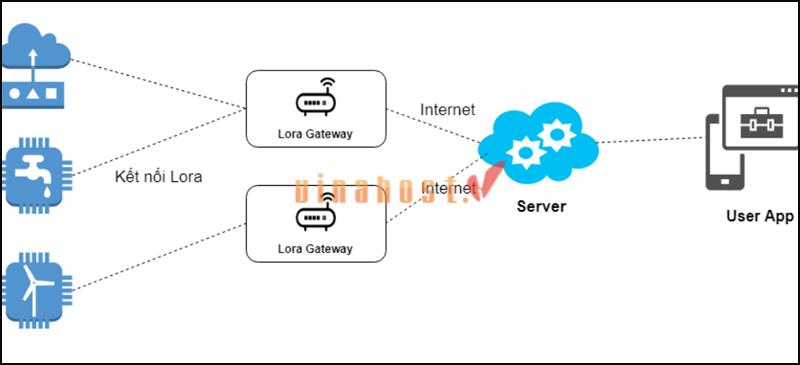 iot la gi