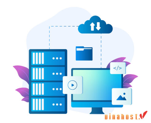 quan tri server la gi