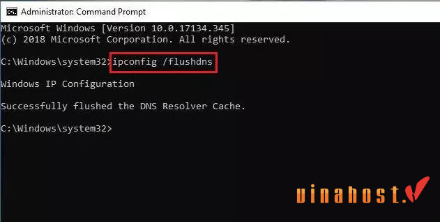 server ip address could not be found