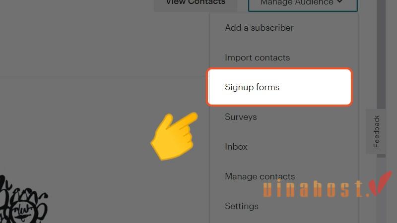 tao form dang ky tren Mailchimp