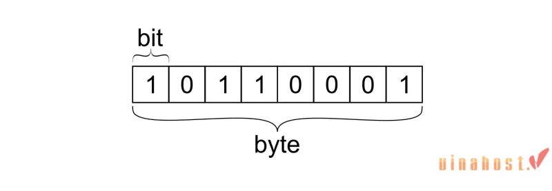 1 byte bang bao nhiu bit