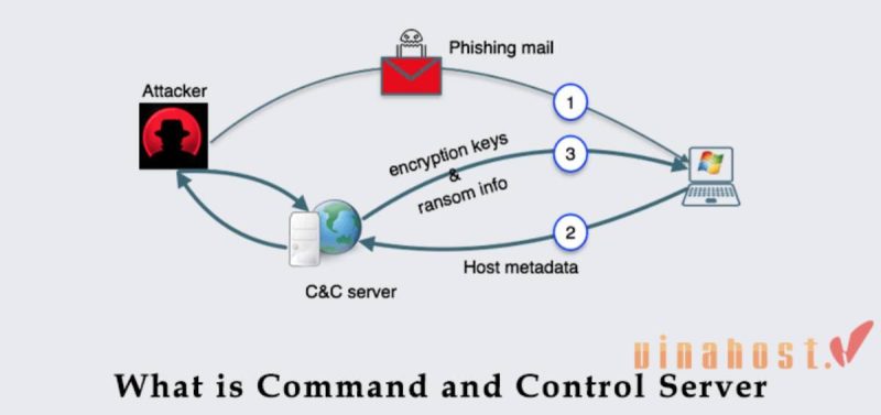 cach thuc hoat dong cc server la gi