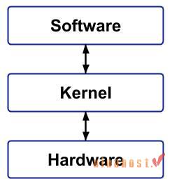 kernel la gi