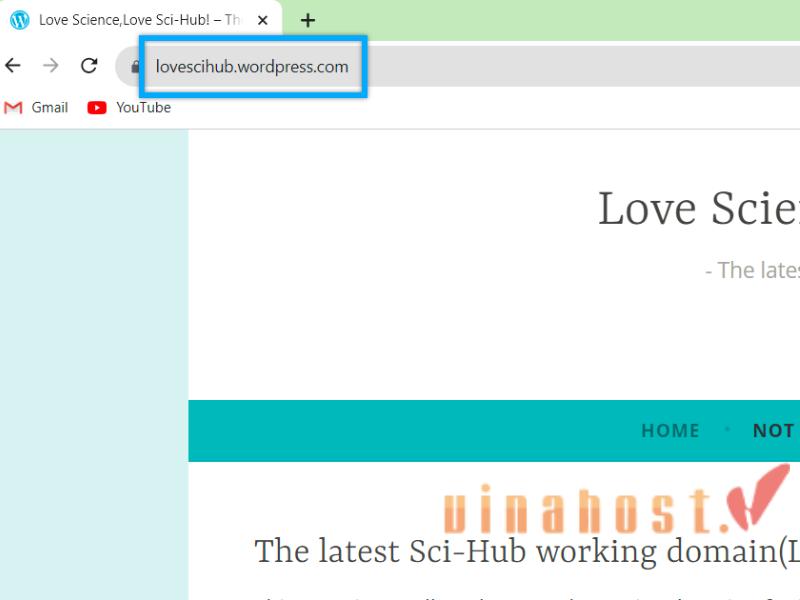 kiem tra website viet bang ngon ngu gi